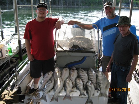 Nice Striped Bass